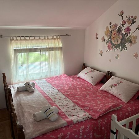 Elena Apartment Плужине Екстериор снимка